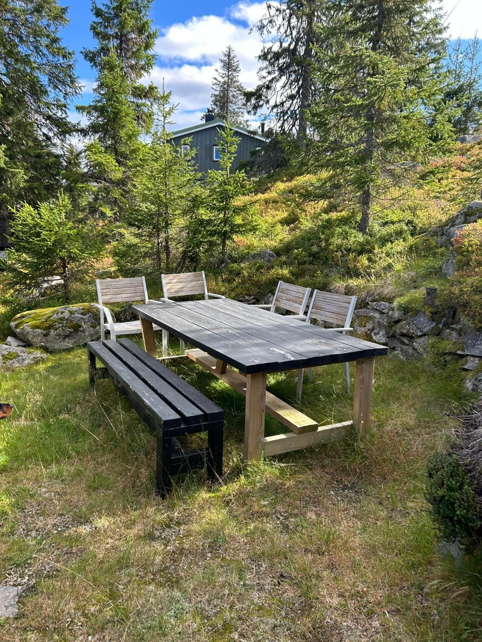 Sjusjøstua by Norgesbooking - cabin close to cross country trails