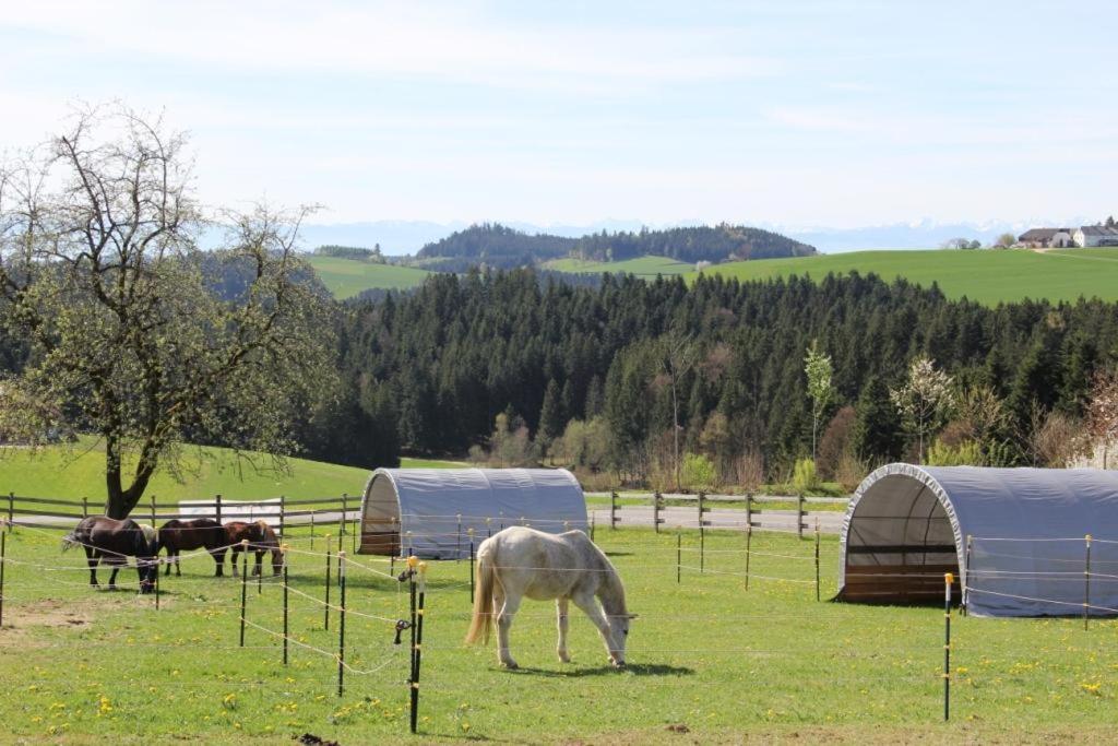 Erlebnishof Steinkellnergut