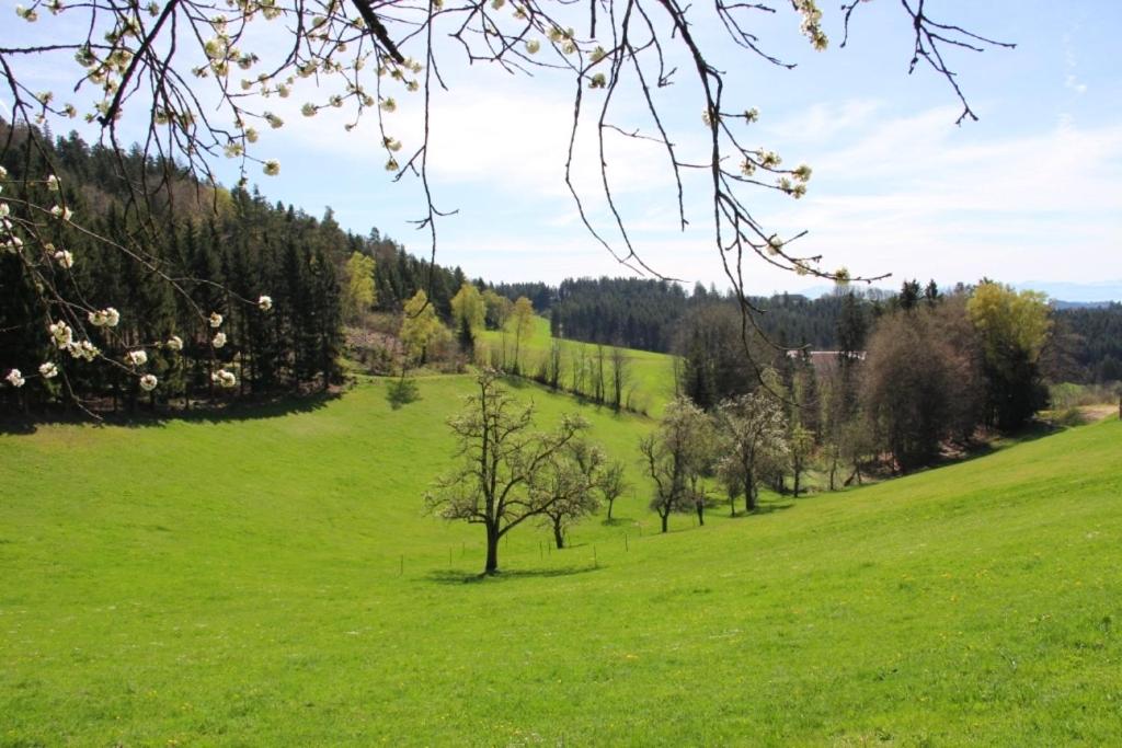 Erlebnishof Steinkellnergut