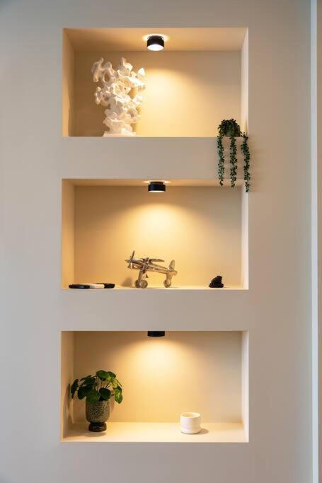 Olive Green Designer Apartment