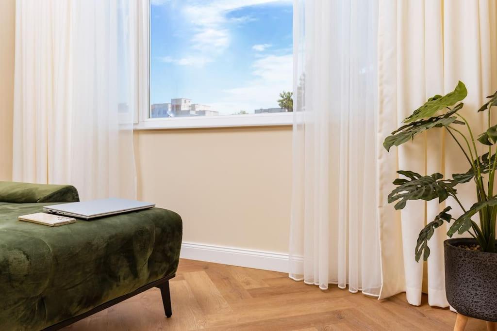 Olive Green Designer Apartment