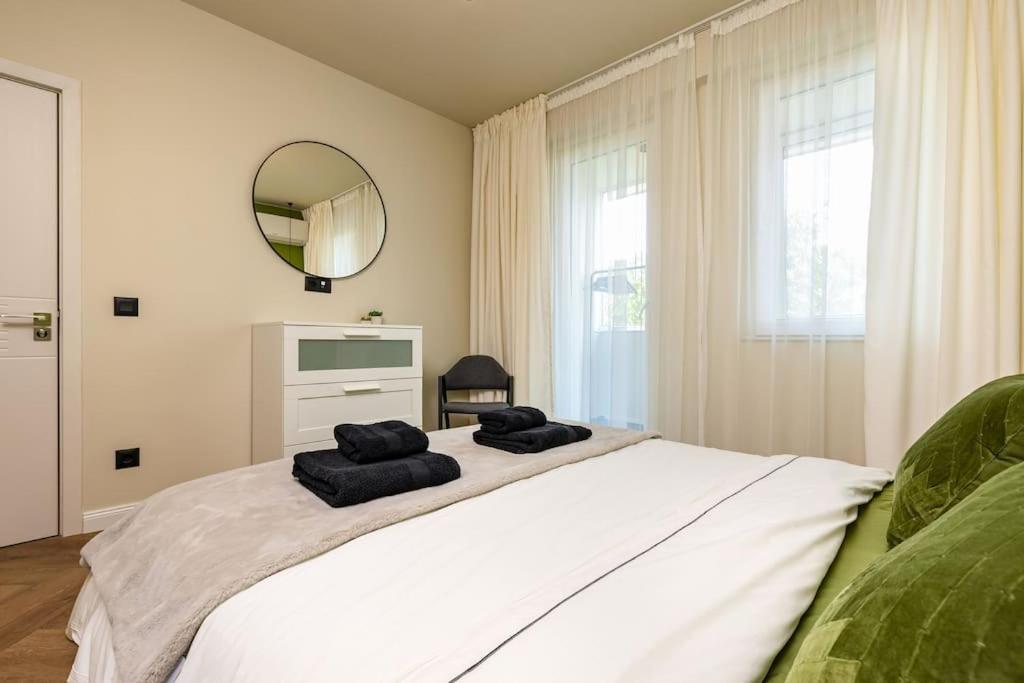 Olive Green Designer Apartment