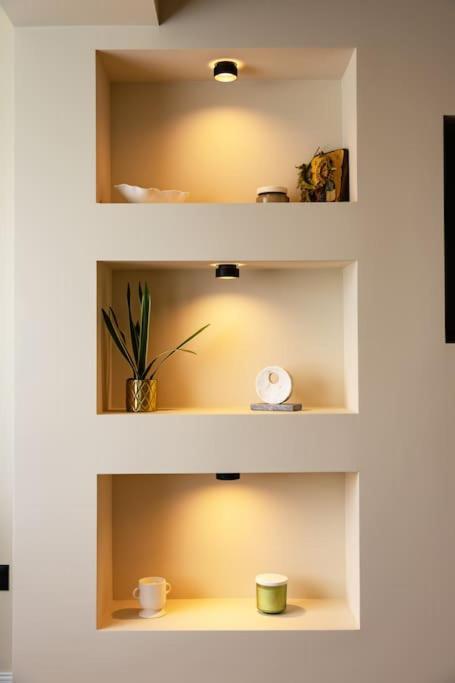 Olive Green Designer Apartment