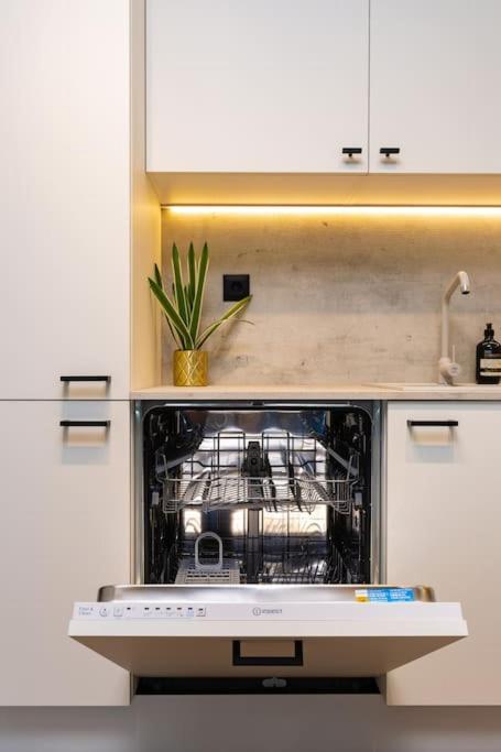 Olive Green Designer Apartment