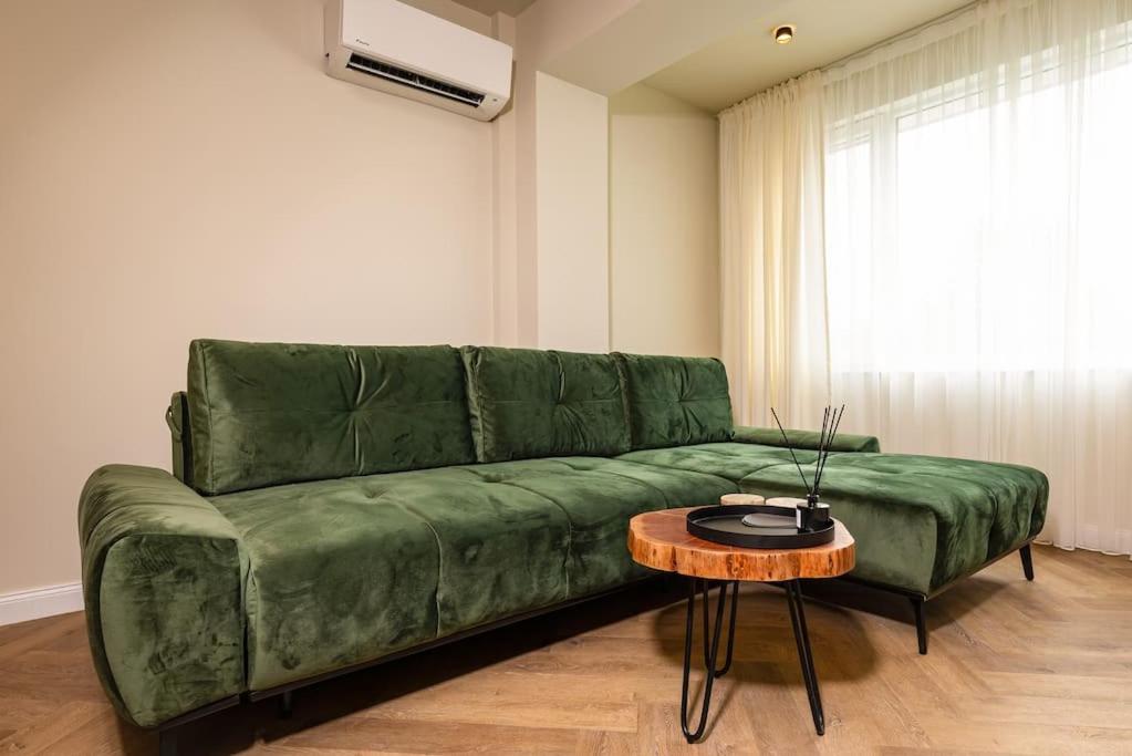 Olive Green Designer Apartment
