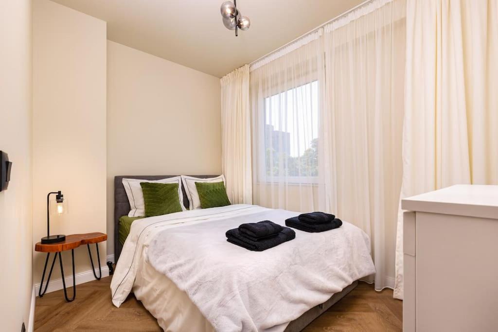 Olive Green Designer Apartment