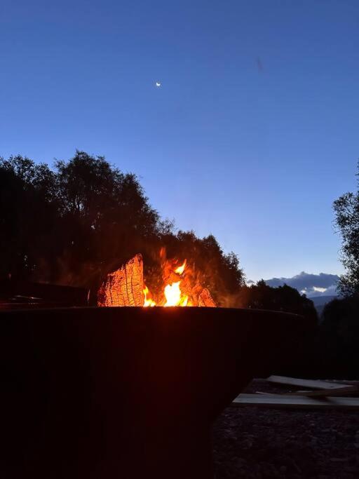 Buena vista