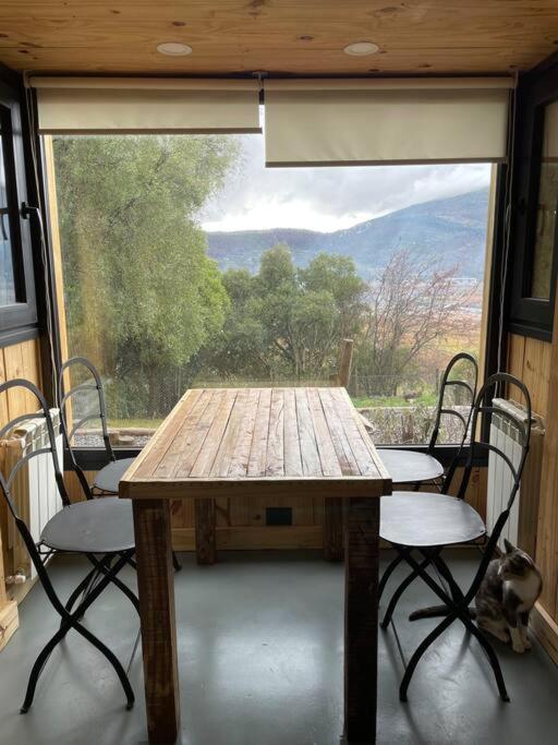 Buena vista