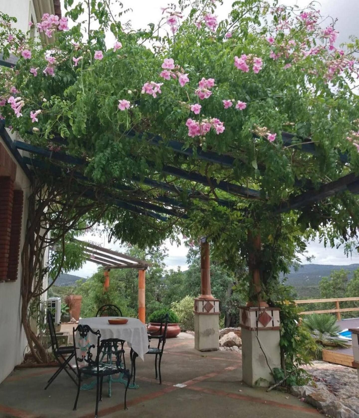 Quinta Boavista