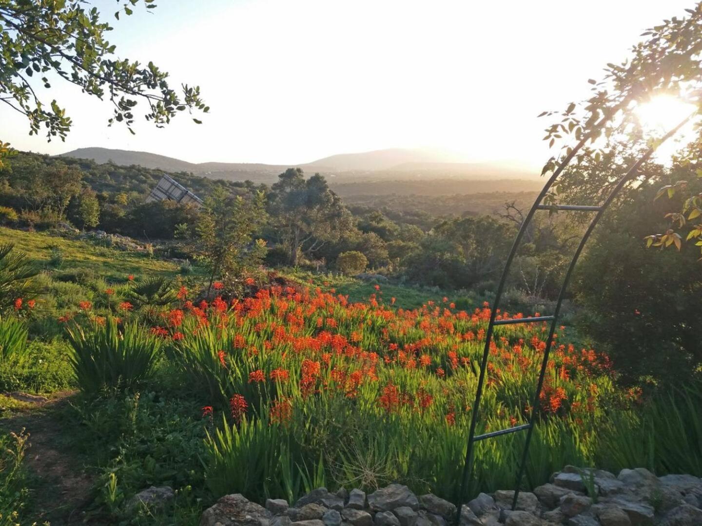 Quinta Boavista