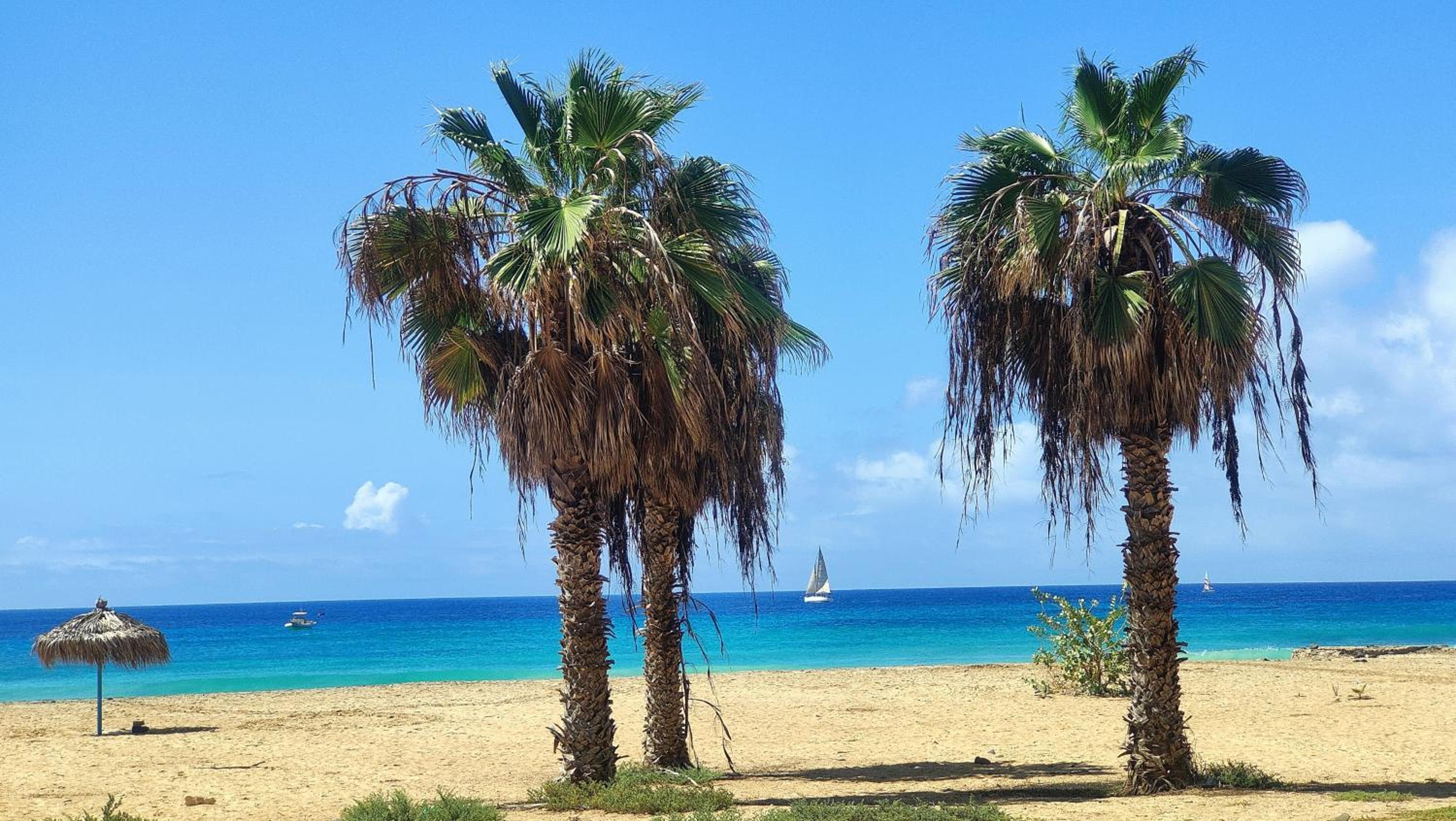 Albis Harena - Leme Bedje Residence