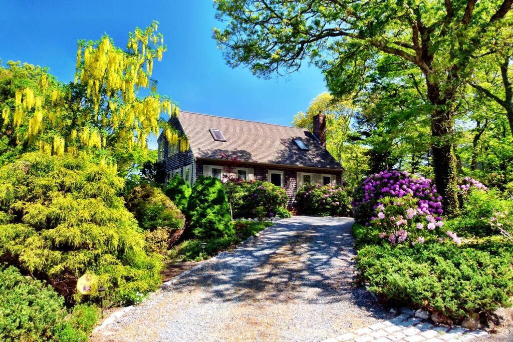West Falmouth Escape