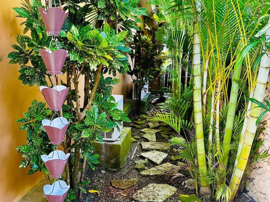 Cabarete Oceanview Villa Pool Oasis Beach Access