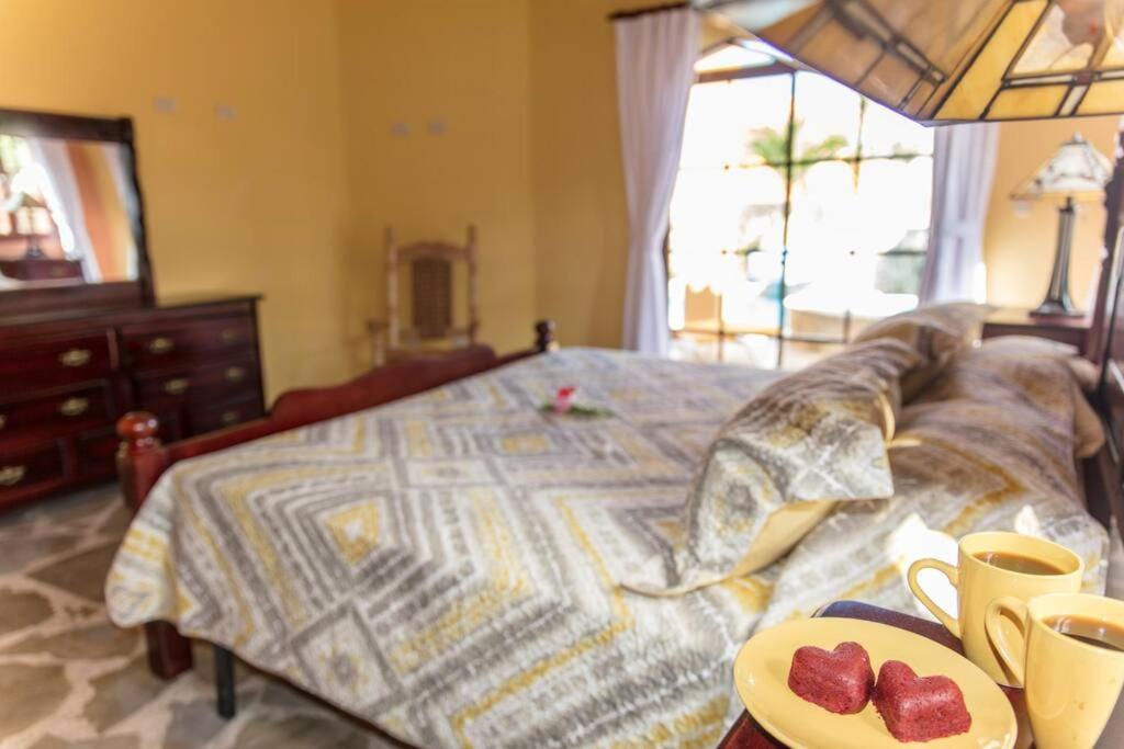 Cabarete Oceanview Villa Pool Oasis Beach Access