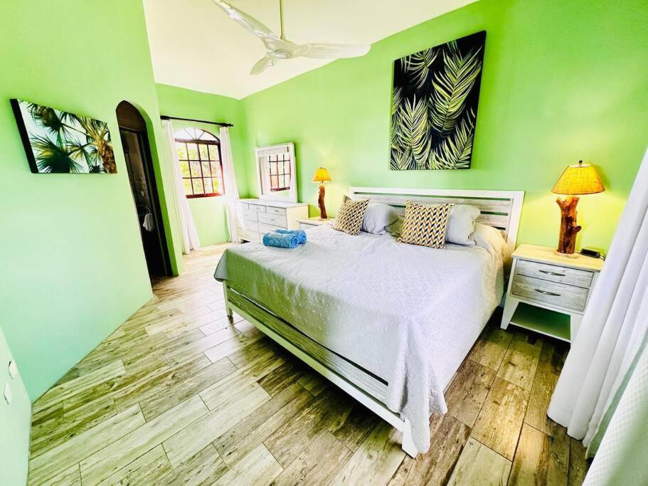 Cabarete Oceanview Villa Pool Oasis Beach Access
