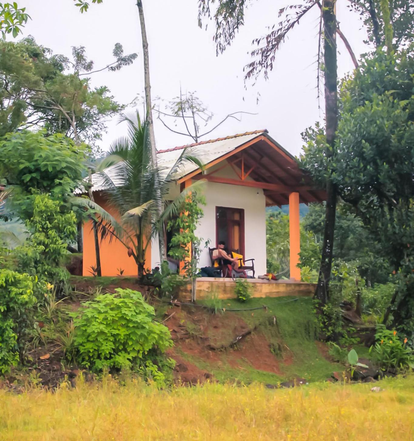 Sinharaja Wild Trails Camp - Included Rainforest Tour view 3