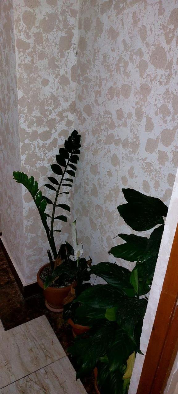 MP Galstyan hotel and tours