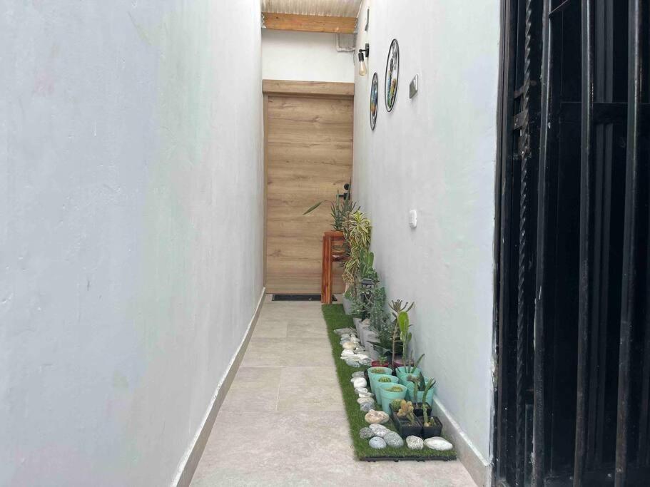 Aparta Estudio Focus & Relax