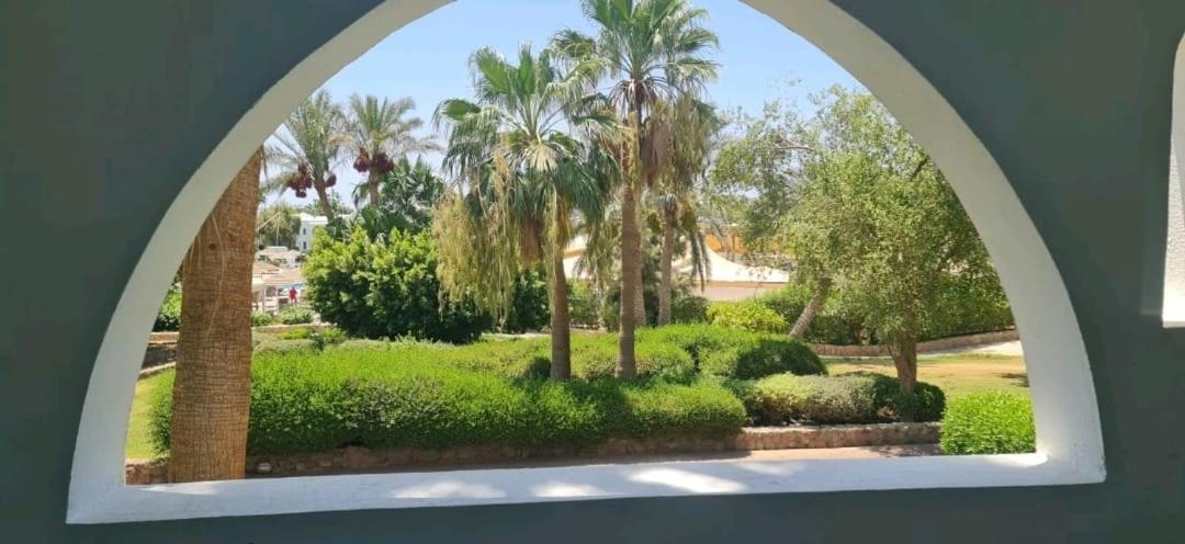 Domina resort