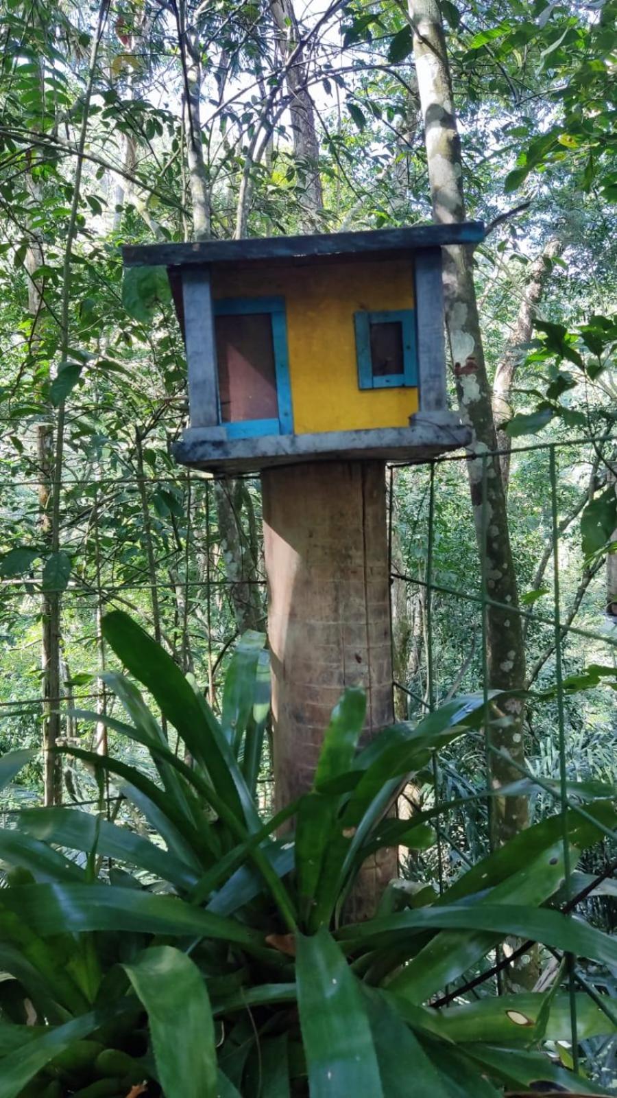 Sitio Siriruia - Chalé du lago