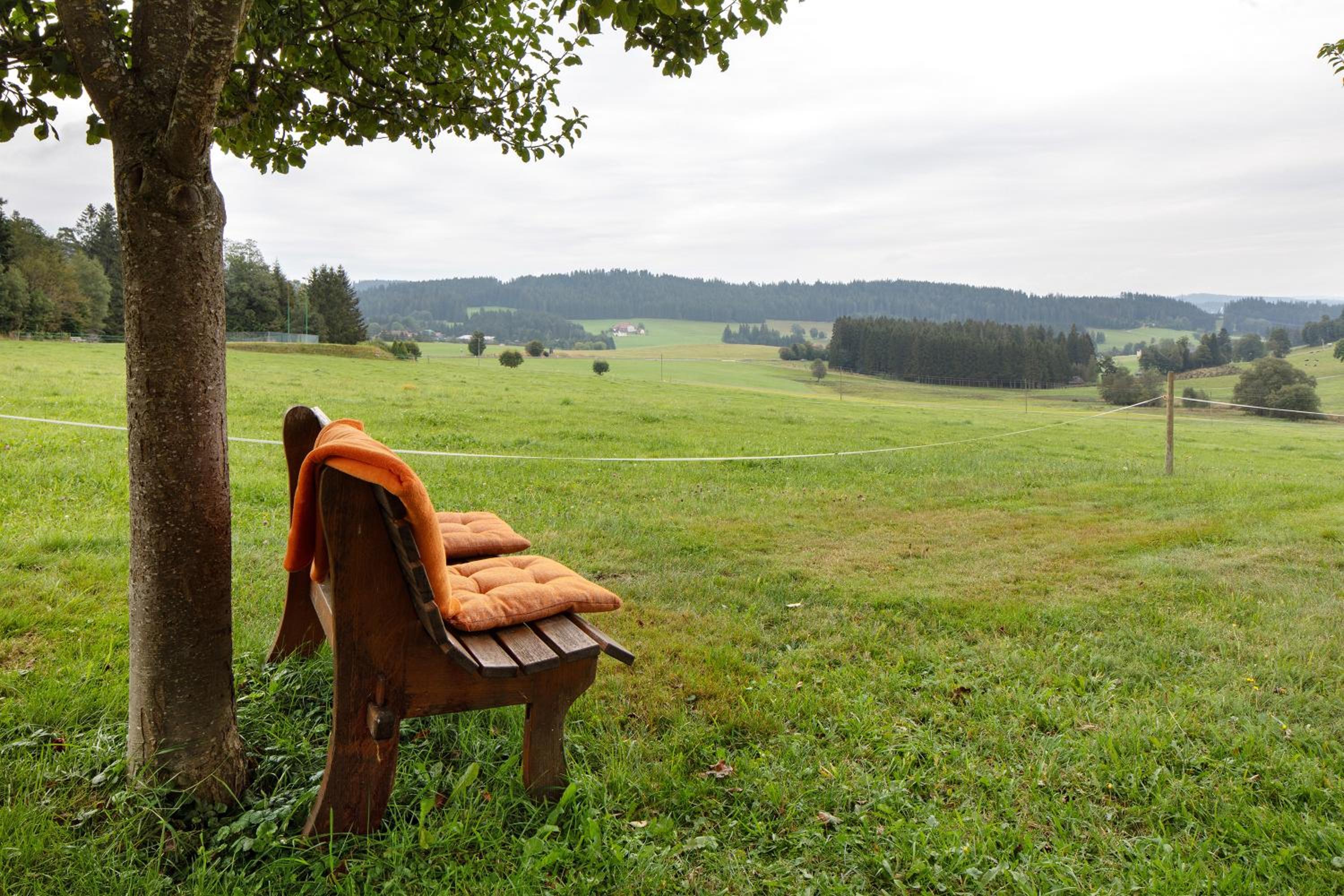 Haldenmichelhof Ferienwohnungen