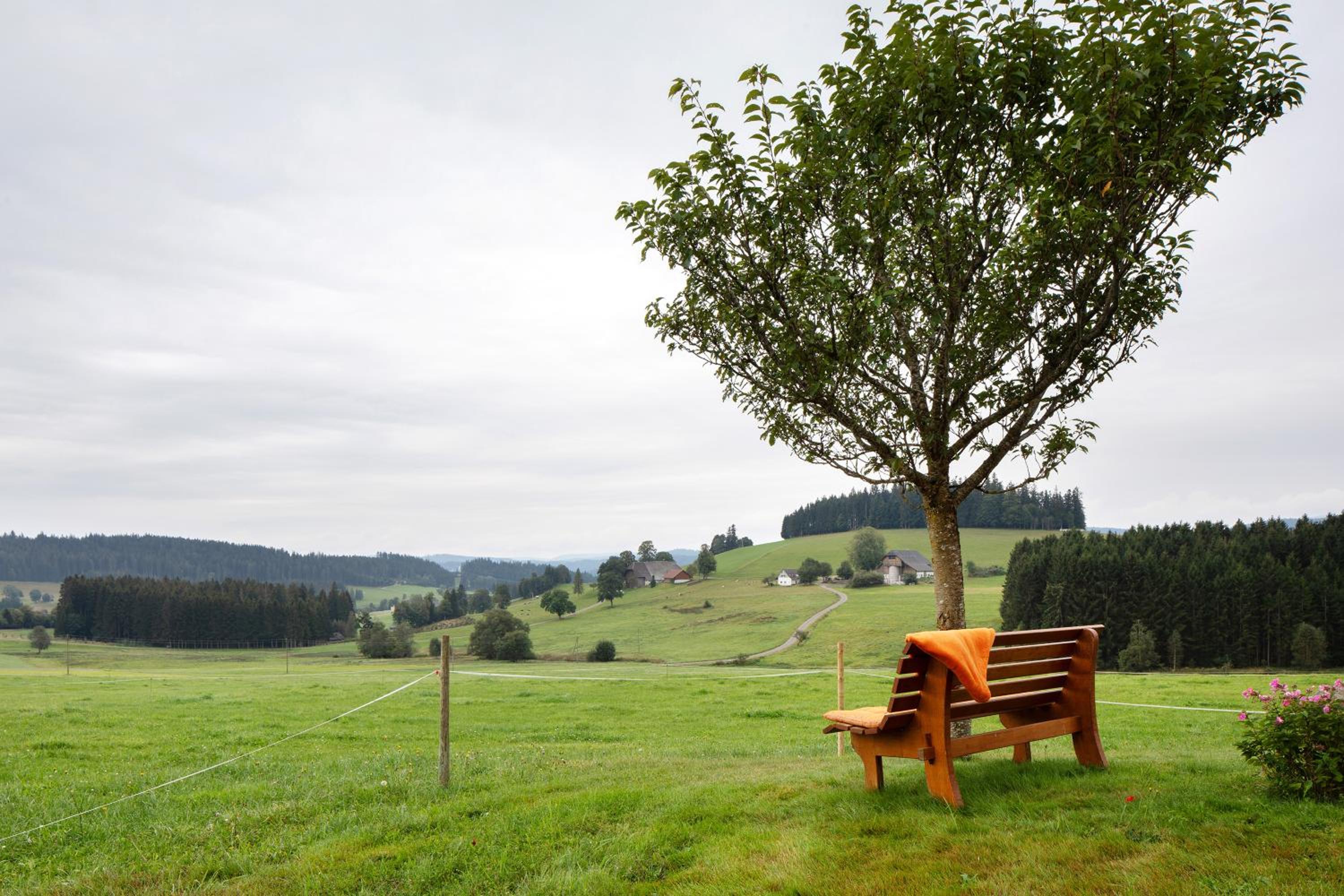 Haldenmichelhof Ferienwohnungen