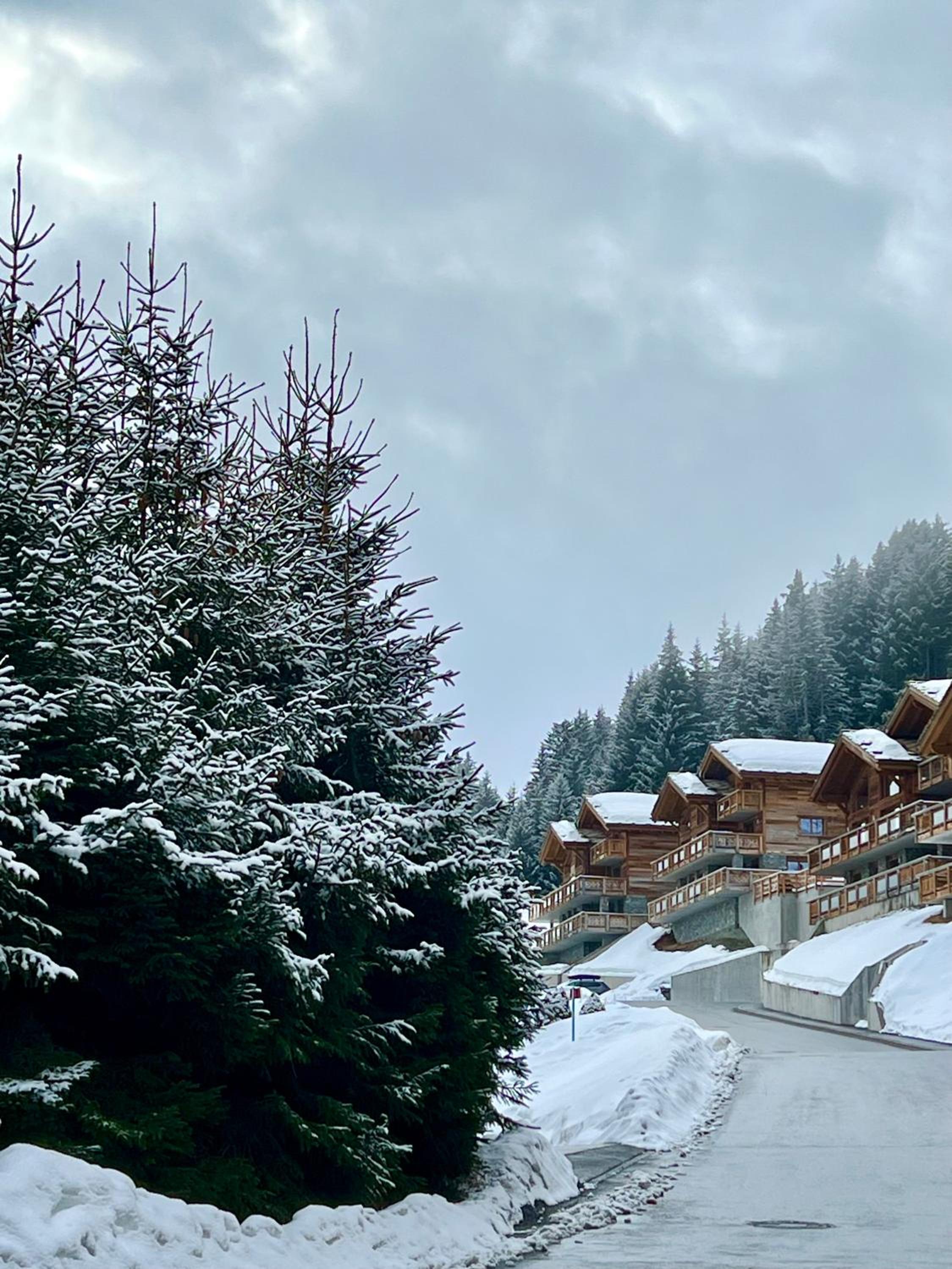 Luxury chalet apartment 4 Valleys