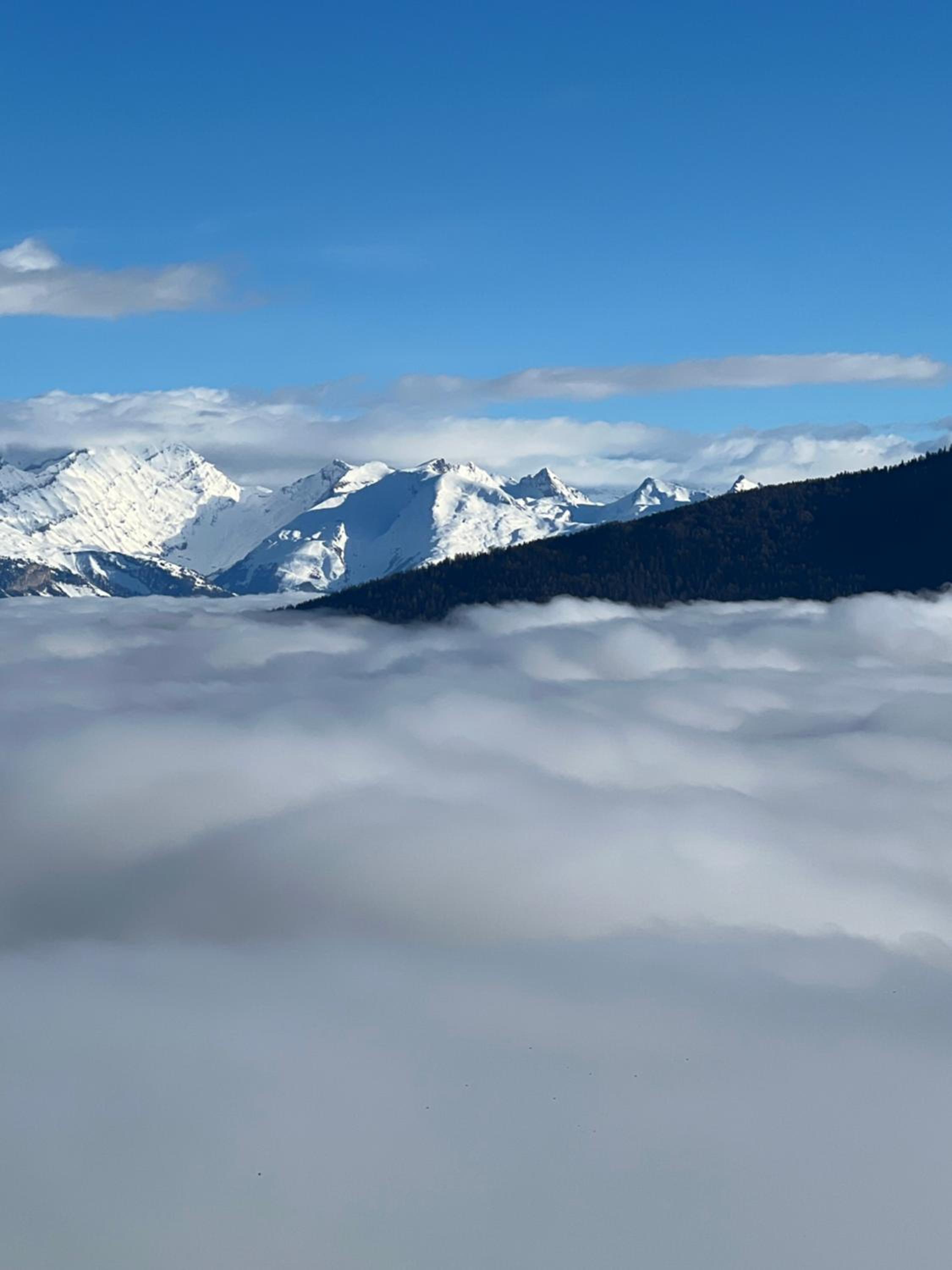Luxury chalet apartment 4 Valleys