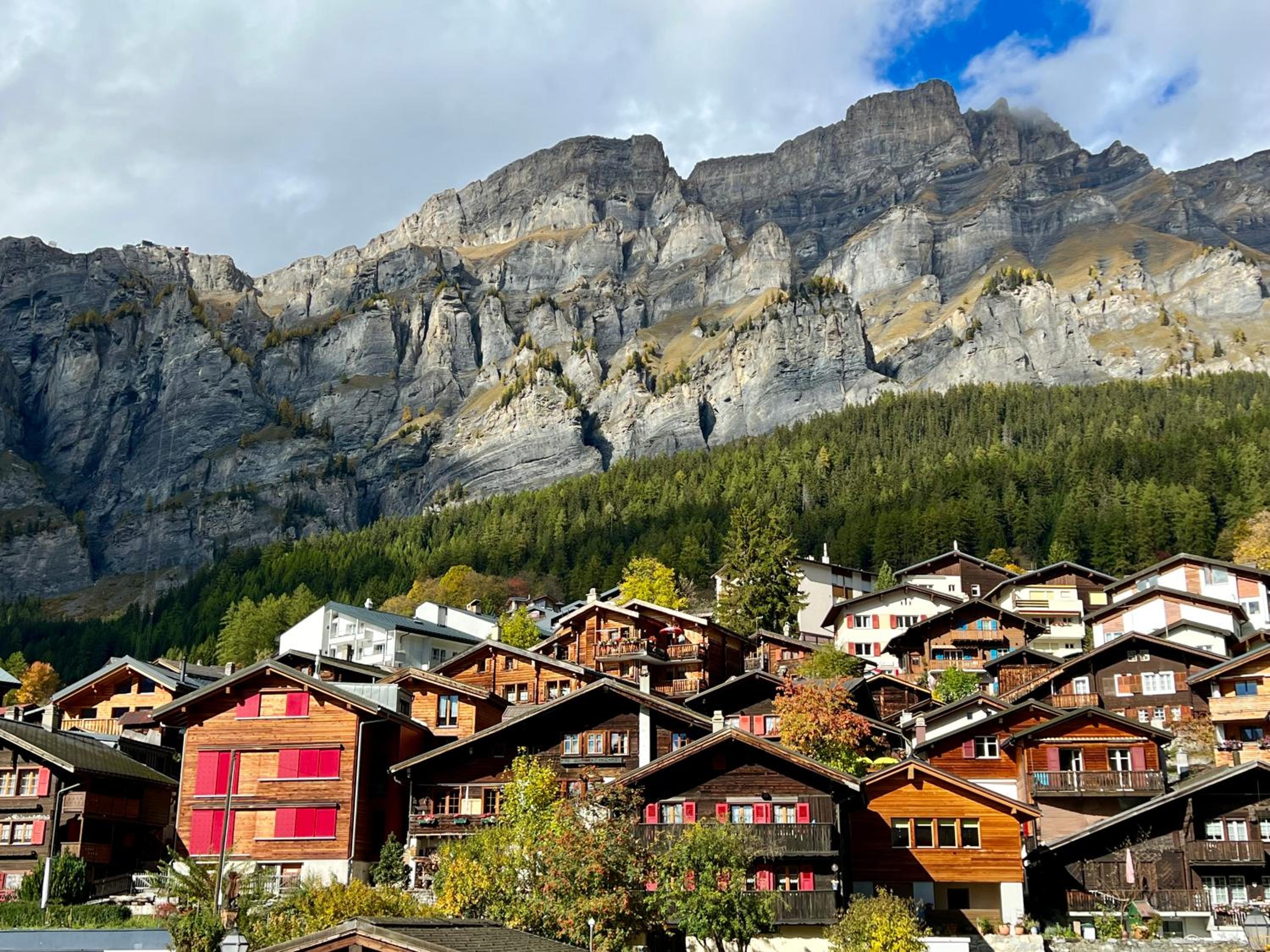 Luxury chalet apartment 4 Valleys