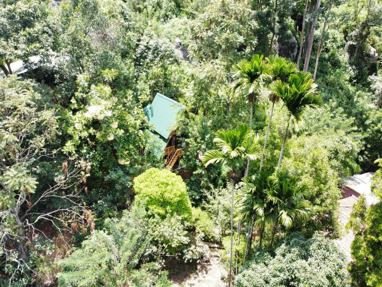 Eco Village view 2