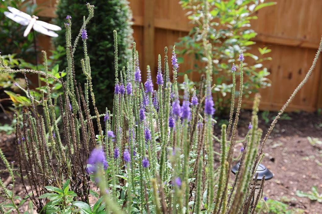 Bungalow Dream, Water & Electric are back-Fire Pit & fenced, photo 39