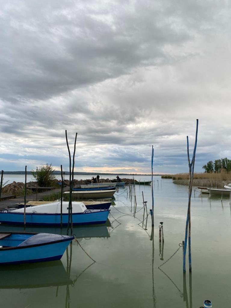 Szofi apartman