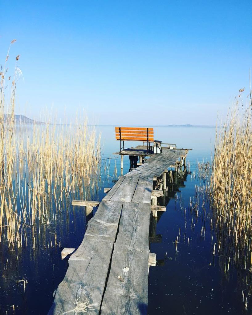 Szofi apartman