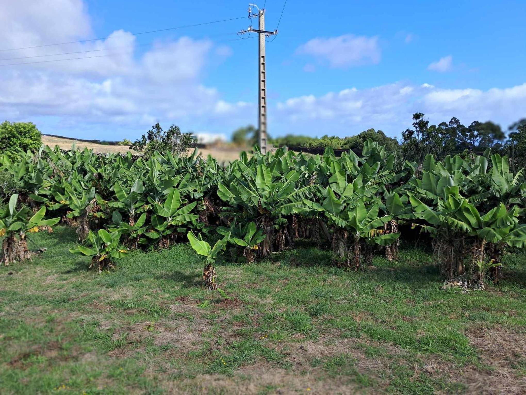 Quinta Do Norte
