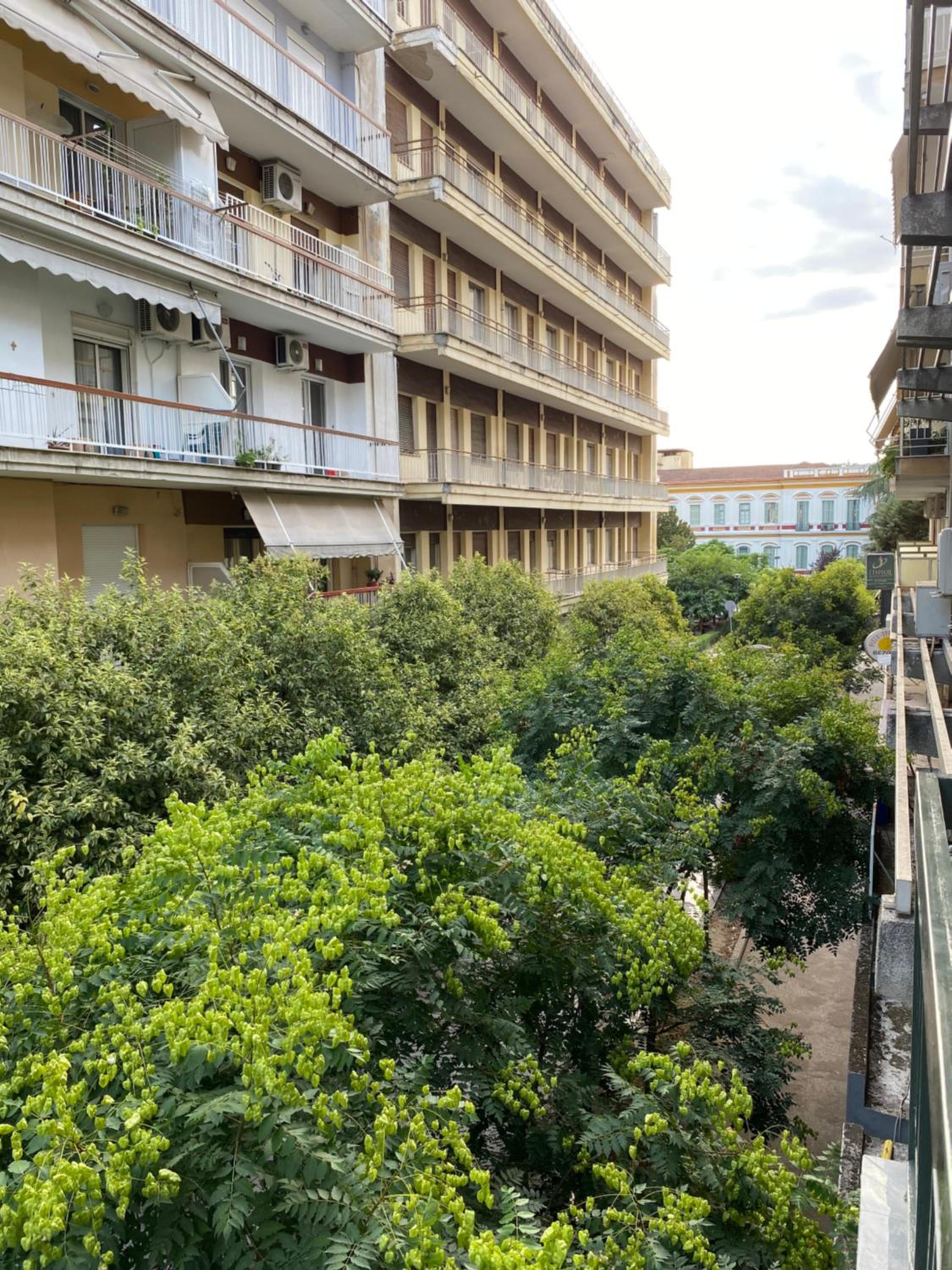 Crystal Grey Elite Apartment 1