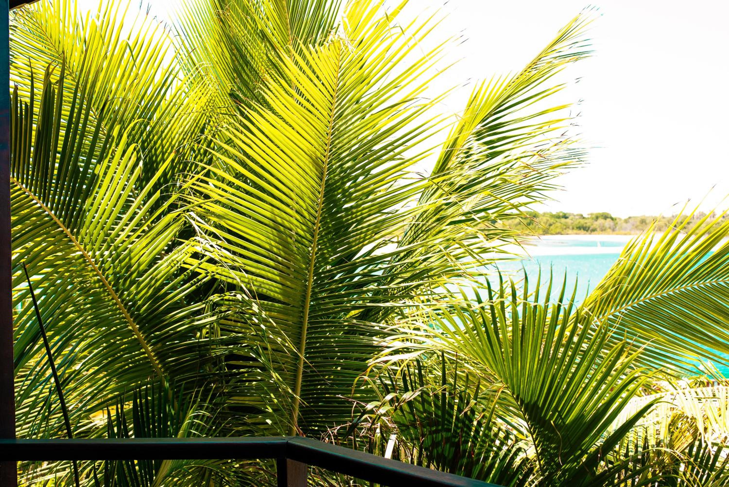 Villa Jaguaribe