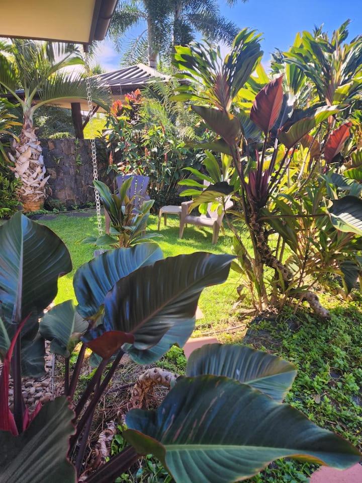 Sweeping Ocean Views Ideal Location Gated view 5