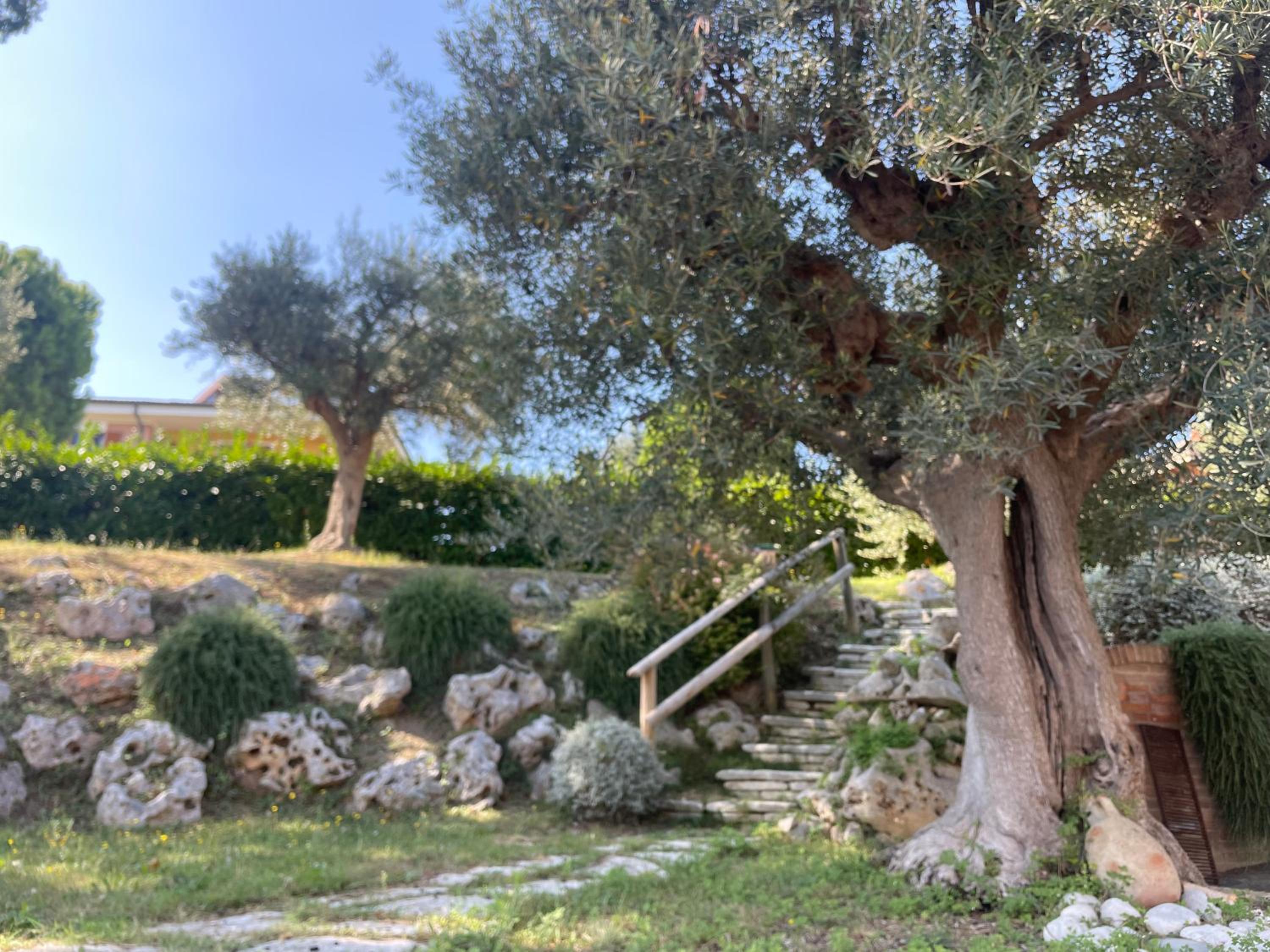 Aspasia B&B view 3