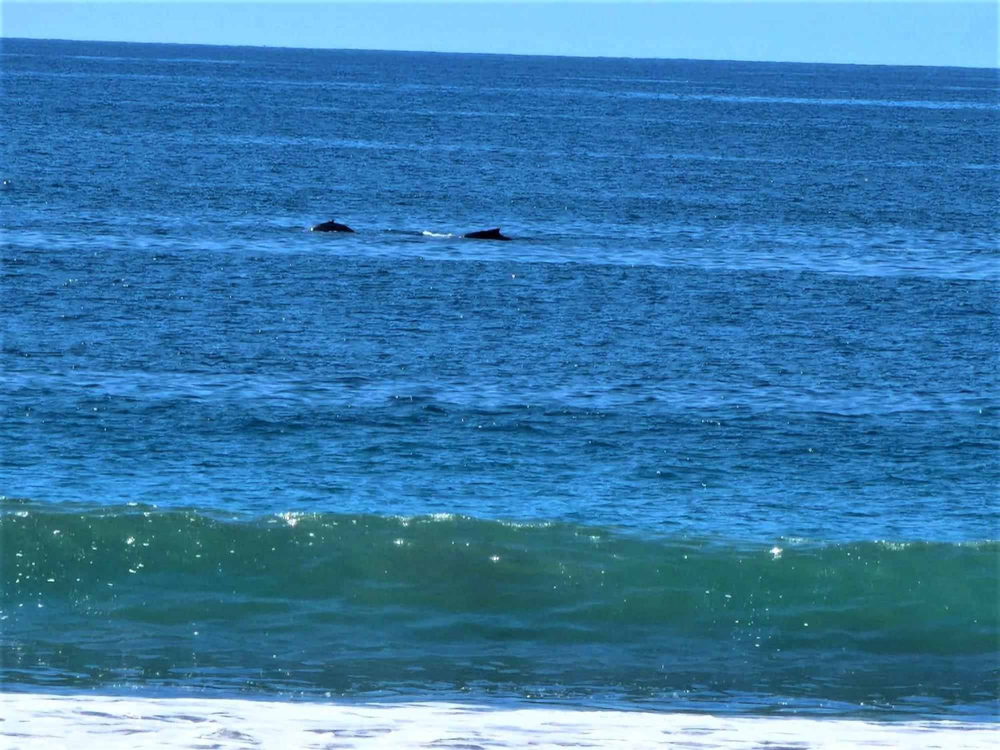 Jacó beachfront condo with beautiful sunsets