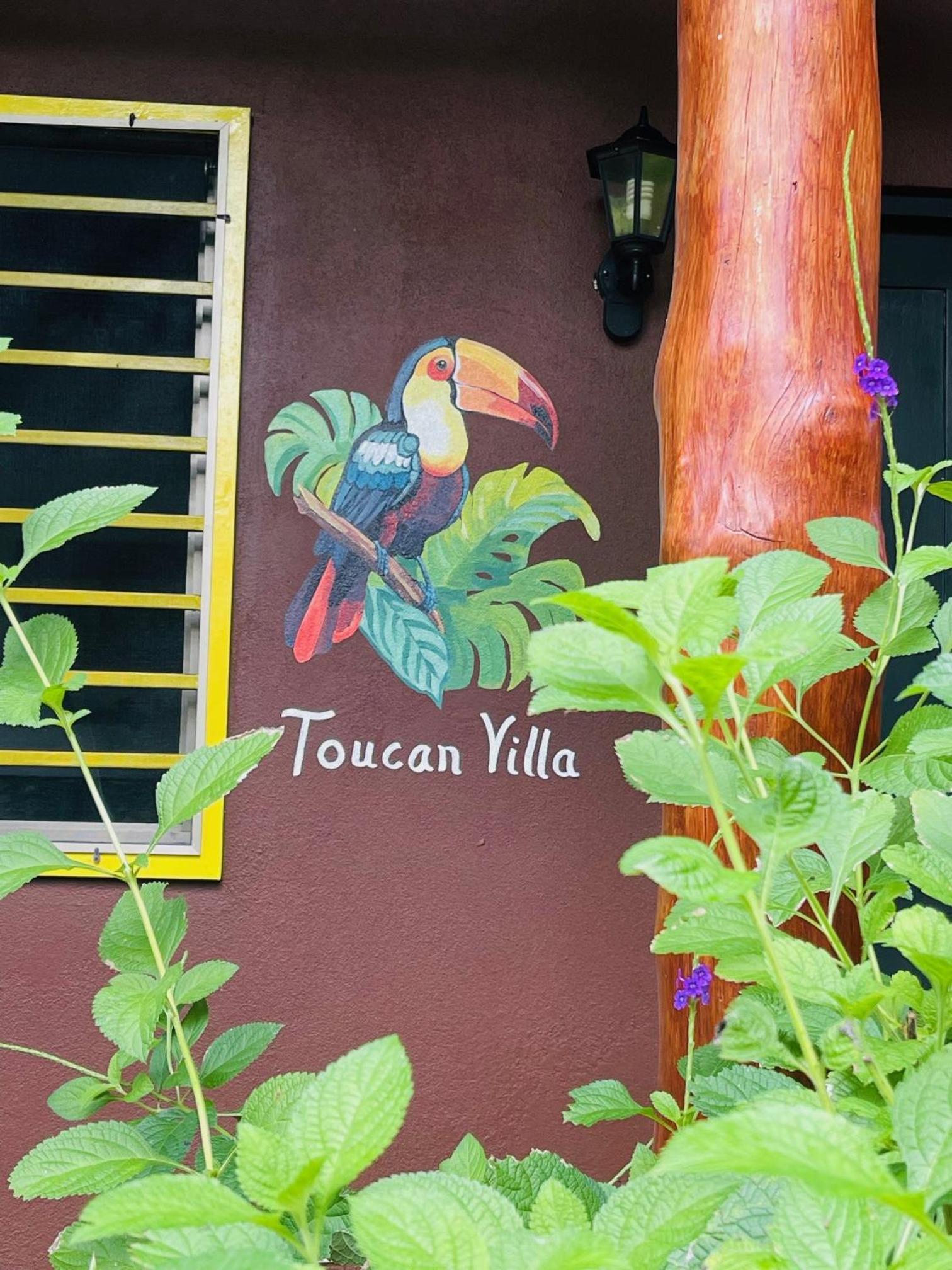 Toucan Villa -riverfront With Pool & Near A Beach
