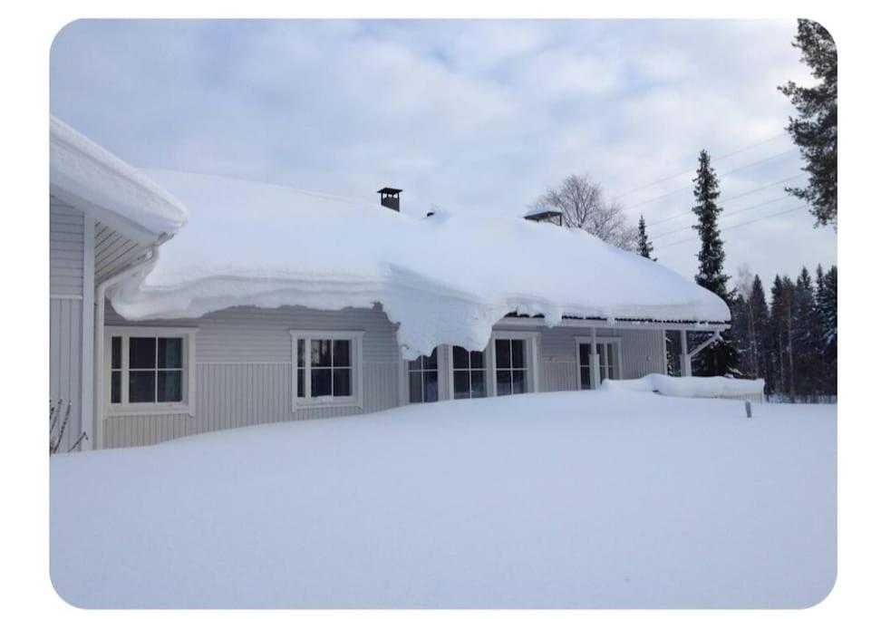 Aurora's house Rovaniemi