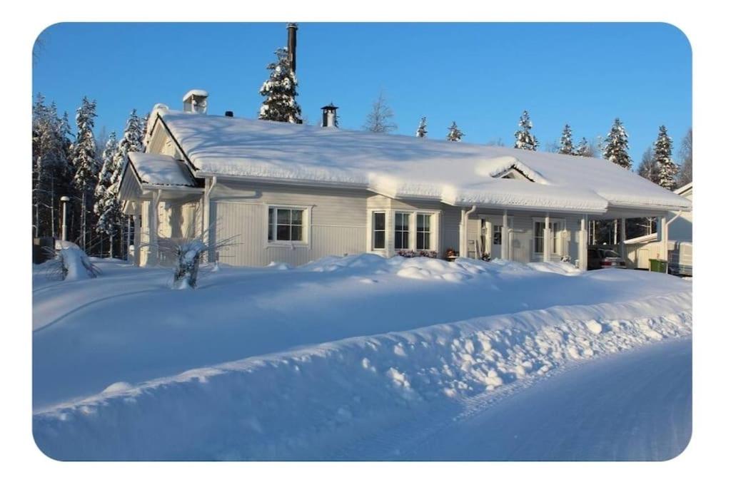Aurora's house Rovaniemi