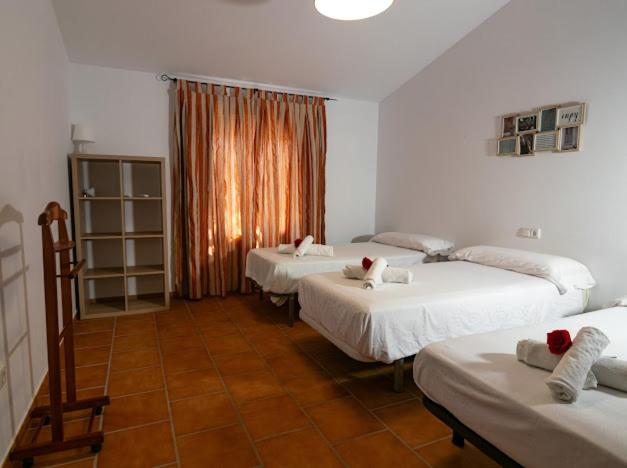 Villa Petra Casa RuRal Piscina parking especial grupos