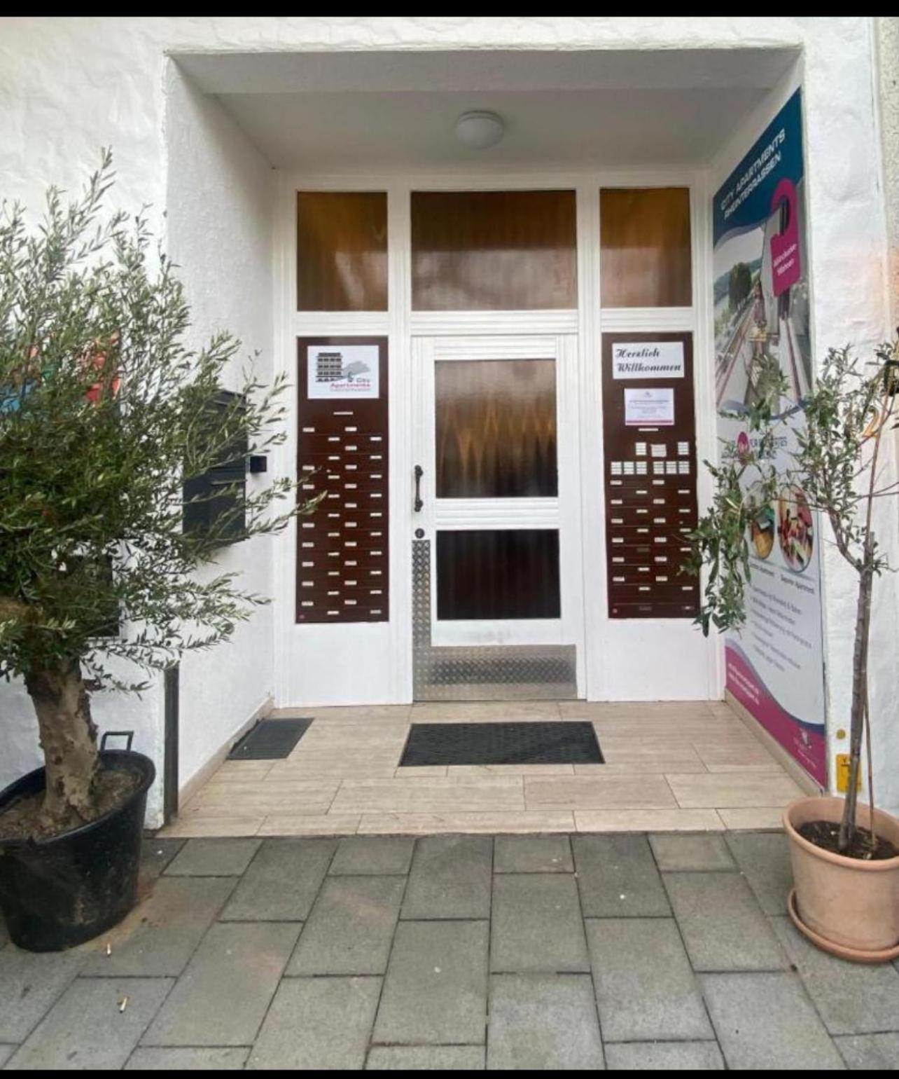 Rheinblick Apartment 2
