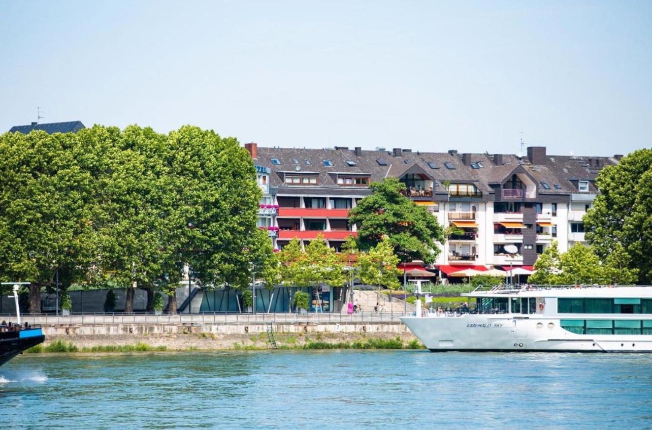Rheinblick Apartment 2