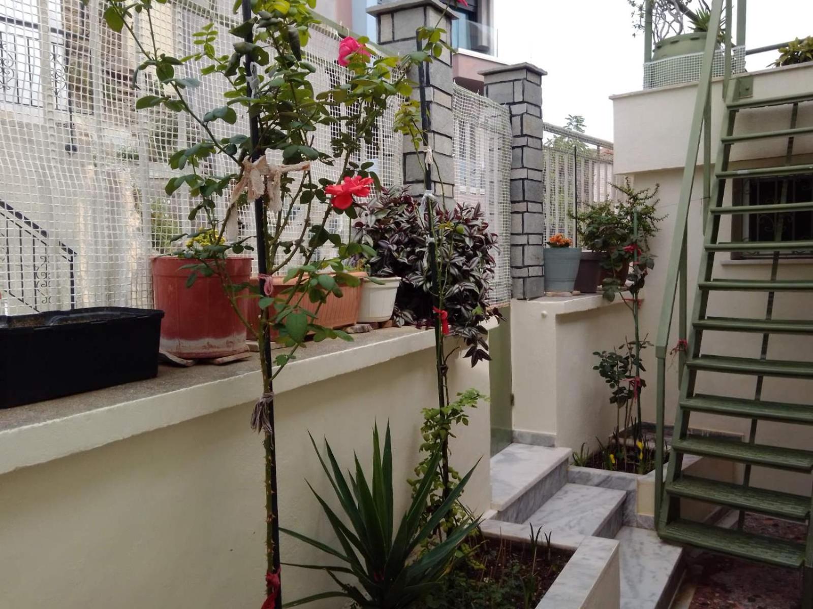 Giannis and Aristi's House view 4