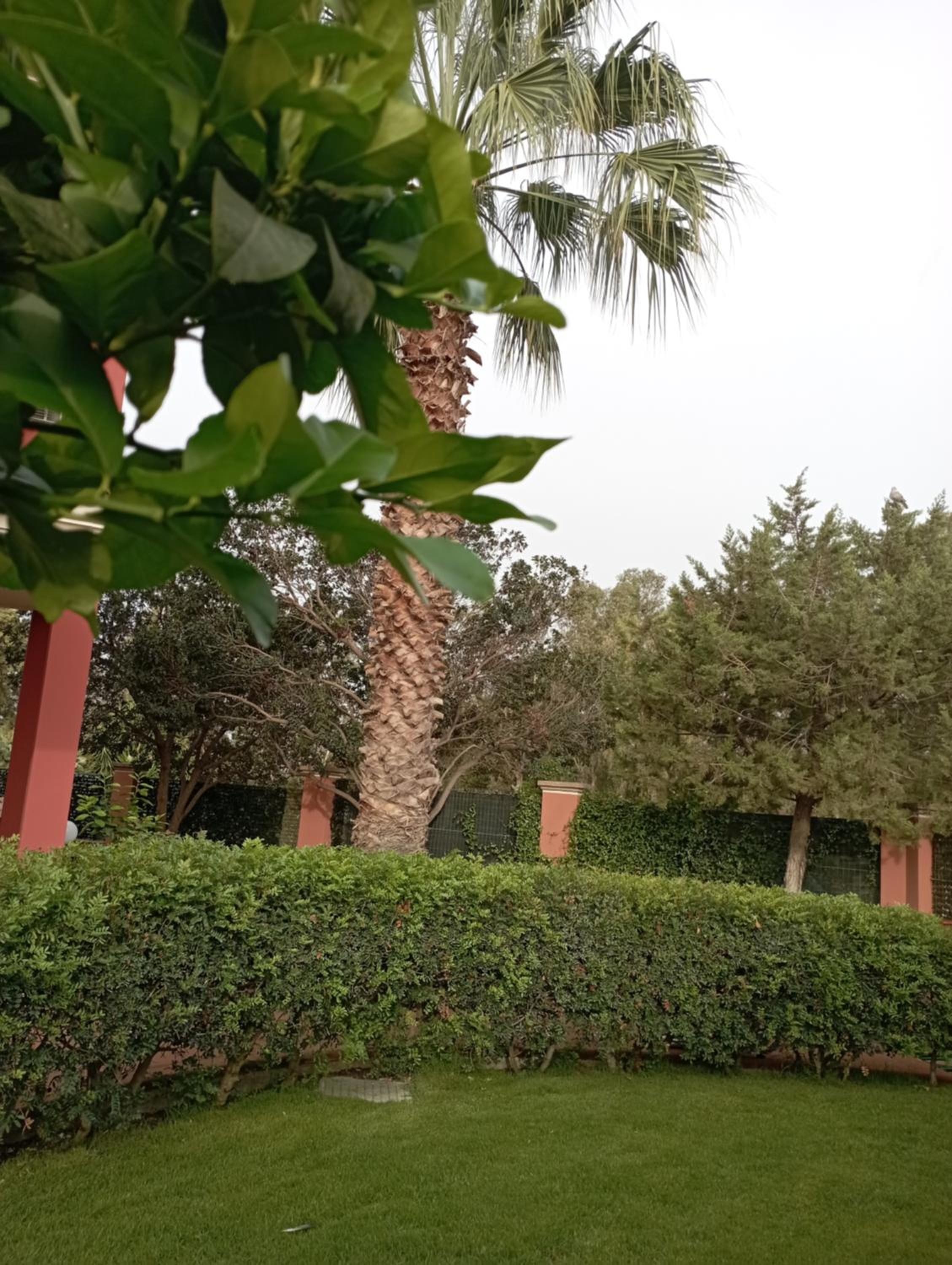 Villa Rodi