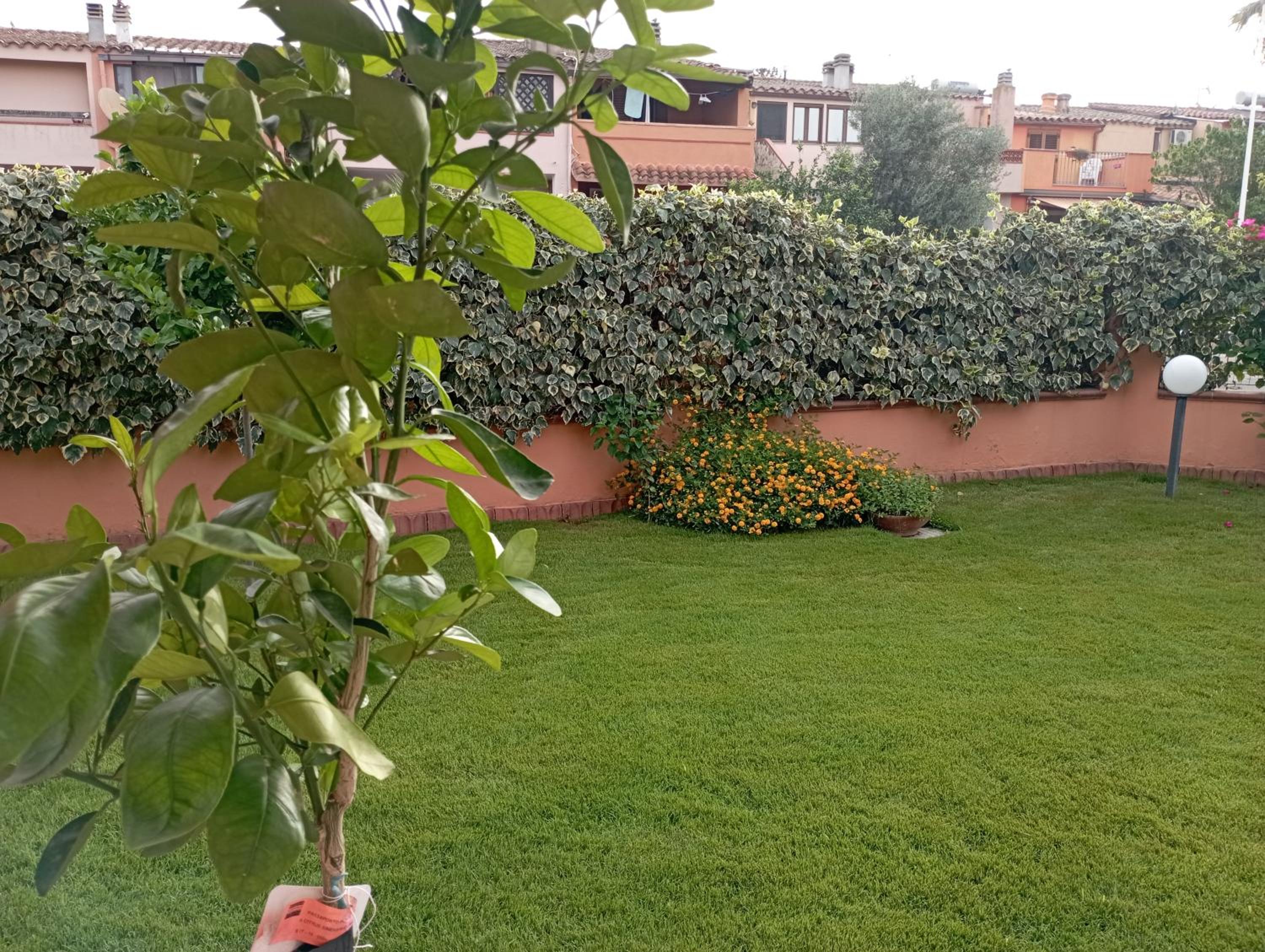 Villa Rodi