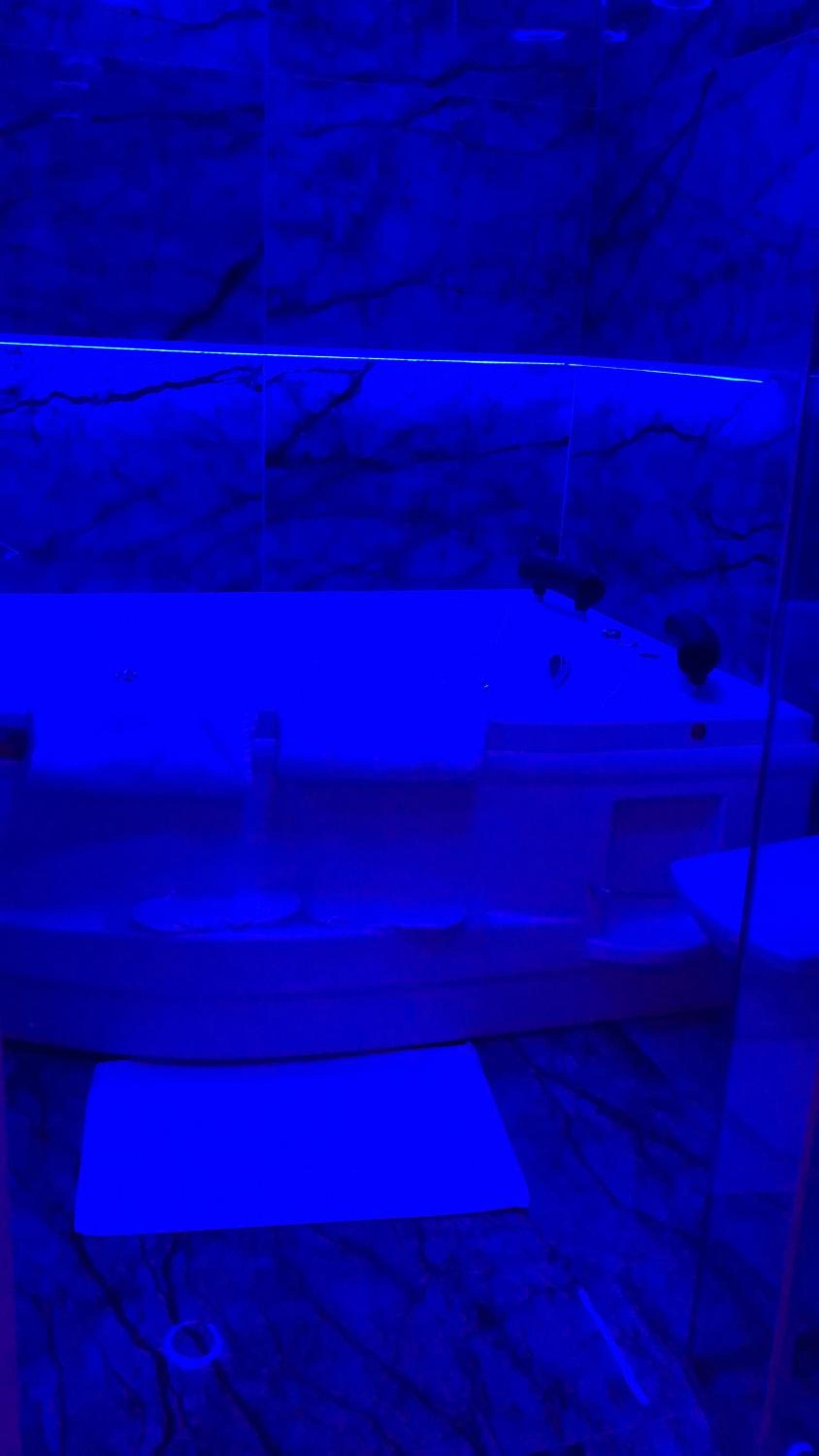 Suite In City Center