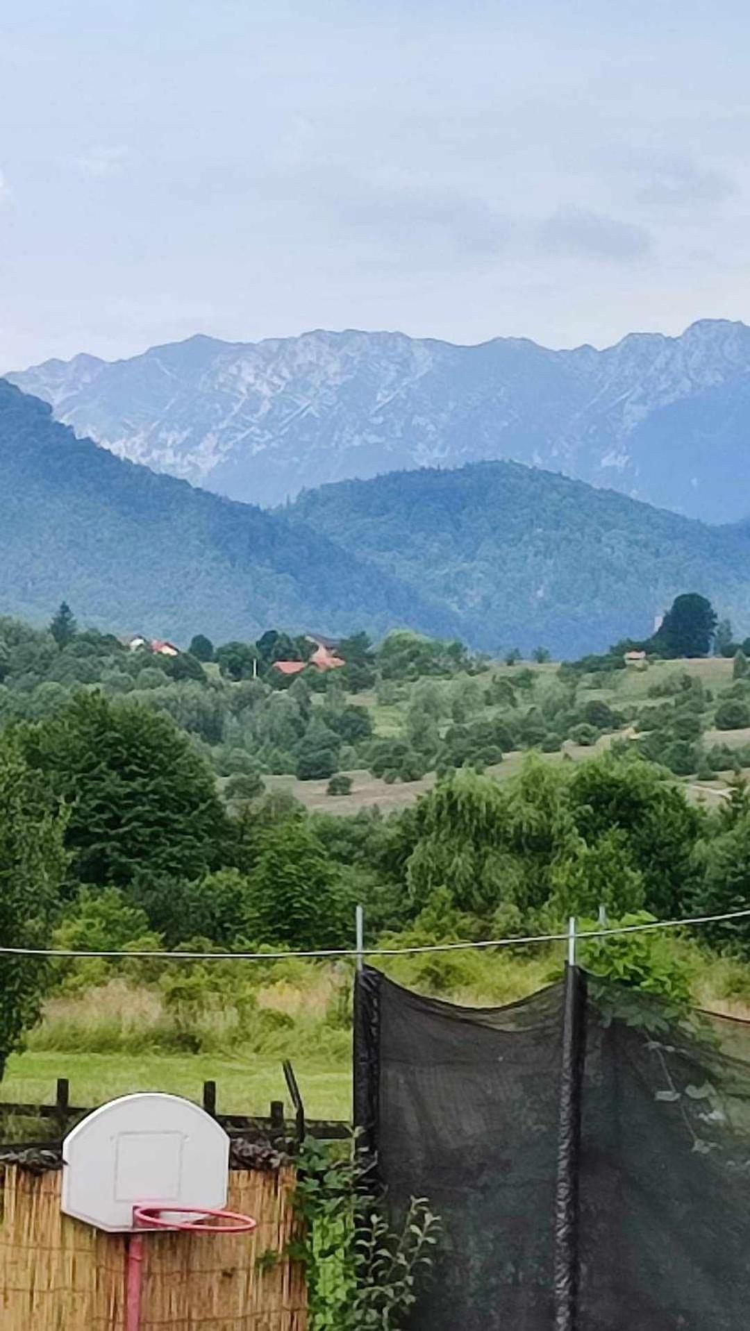 Cazare Haiducita Bran